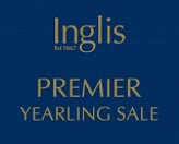 Lot 470 - ZoustarAlberton Park filly-Click here
