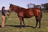 Lot 474 - The Quick One-Click here