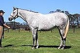 Lot 300 - Make My Own Luck-Click here