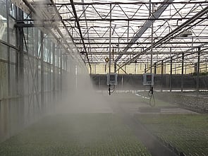 Misting system producing fine fog in a greenhouse
