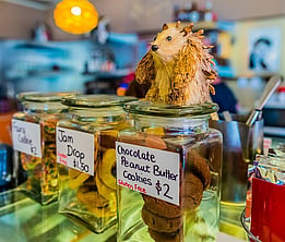 local treats on the counter