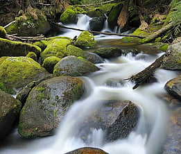 Tarongo Falls