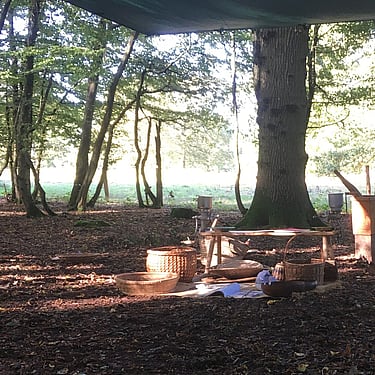 The woods before a workshop on how to process acorns into flour. 