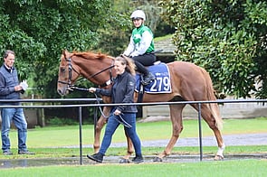 Lot 279 Per Incanto - Luscious Legs Colt