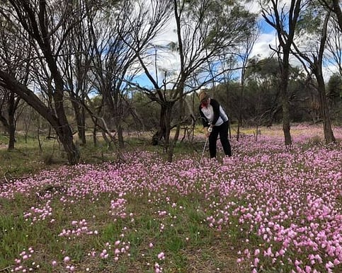 Golf Narembeen