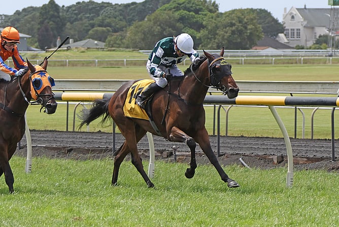 Acer winning the Listed Grangewilliam Stud Oaks Prelude (1800m) at New Plymouth.  -  Photo: Jane Davidson (Race Images)