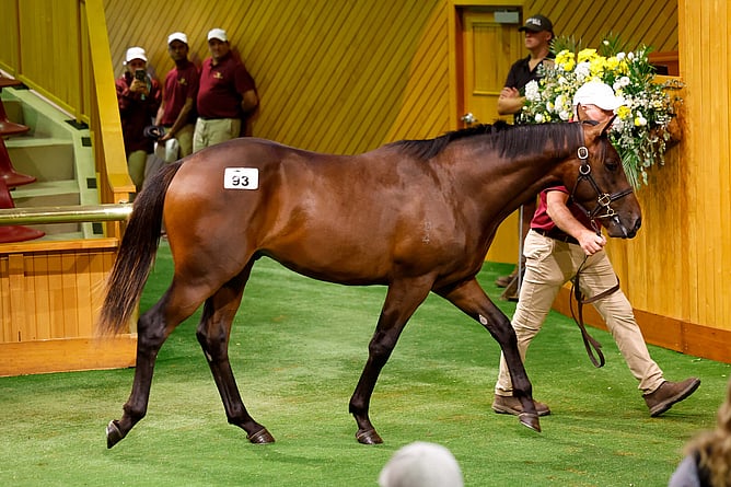 Lot 93 a colt by Super Seth was sold for $675,000 to bloodstock agent Kevin “Millie” Walls. - Photo: Angelique Bridson