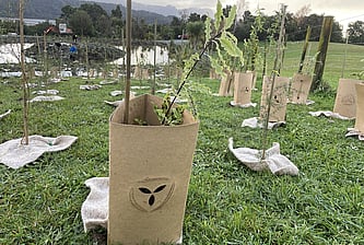 Plant Protection - We highly recommend using mats and plant guards, as these will save you a lot of hard mahi & money in the long run.The plants will get a much better head start & will be protected from getting  munched on by hares, shredded and pulled out by fun loving Weka & Pukeko.