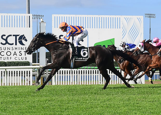 Anemacore scores in Saturday&rsquo;s A$160,000 Listed Coastline BMW Sunshine Coast Cup (1400m).  - Photo: tracksidephotography.com