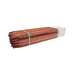Survey Pegs