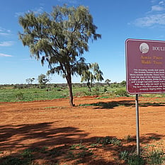 North of Birdsville