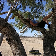Resting on the tree
