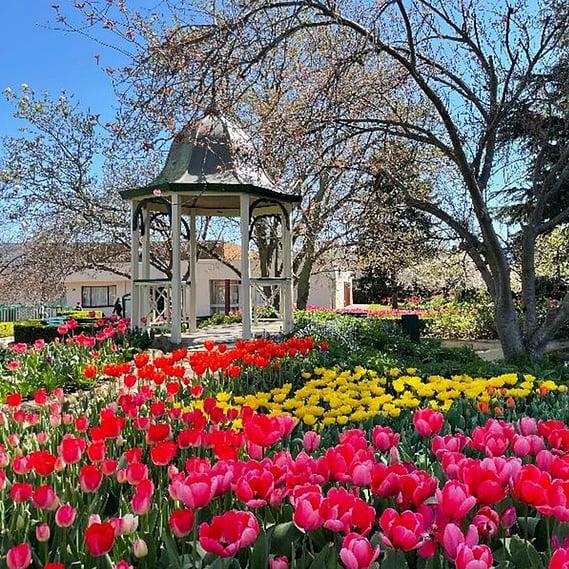 Corbett Gardens with a colorful variety of flowers