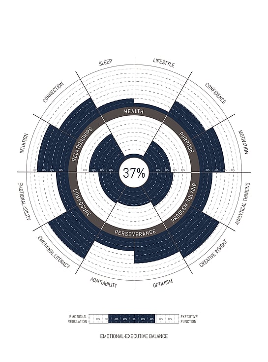 PRI - Personal Resilience Indicator assessment tool