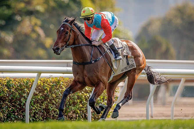 Ka Ying Rising completes his 17th consecutive win at Sha Tin on Sunday. -  Photo: Alex Evers HKJC