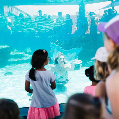Mermaid Underwater Show
