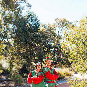 Christmas Elves