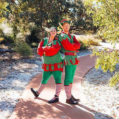 Christmas Elves