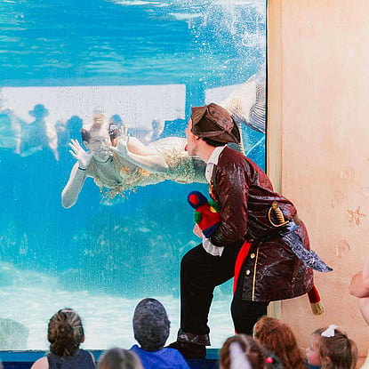 Underwater Mermaid Show