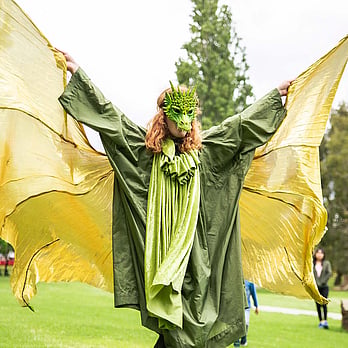 Dragon Themed Party