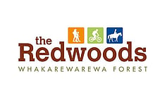 The Redwoods