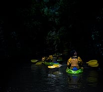 Kayak & Gloworm Tours | Twilight kayaking with Riverside Adventures Lake Karapiro Waikato