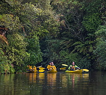 Build Your Own Tours | Cycle tours, kayak and glowworm kayak tours, walking and SUP options at Riverside Adventures Waikato