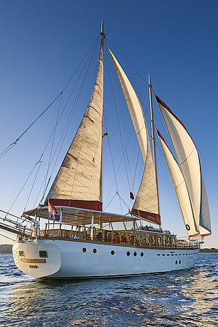 Morning Star