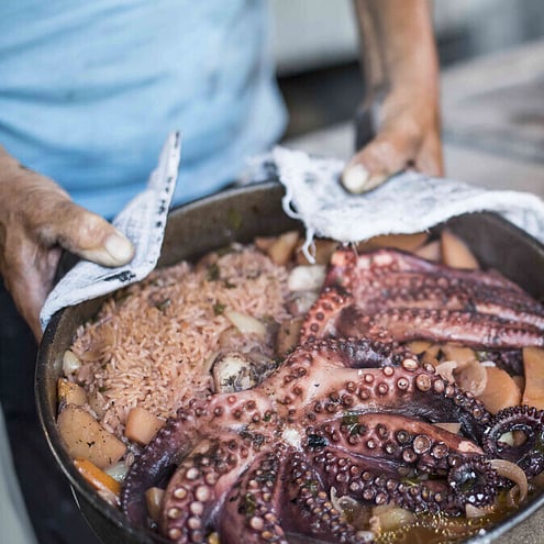 Octopus