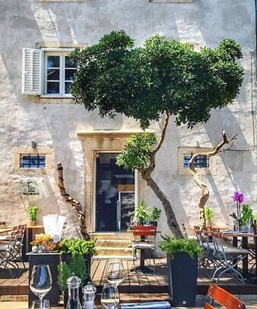 Winery
