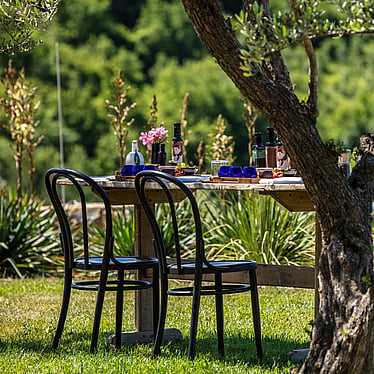 Olive oil tasting