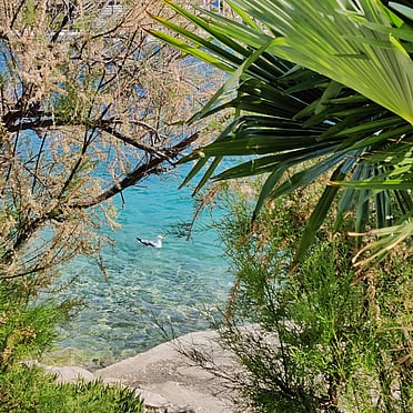 Island Solta