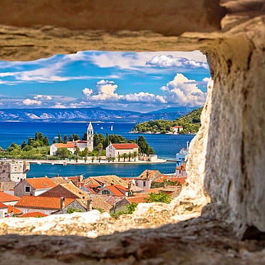 Vis
