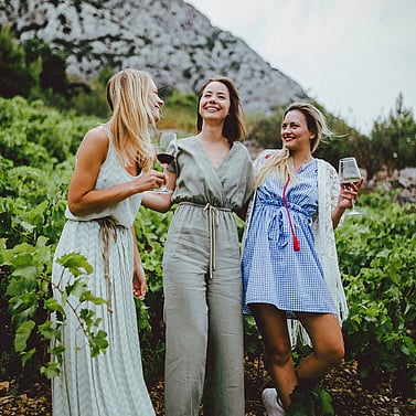 vineyards