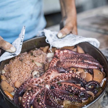 Octopus