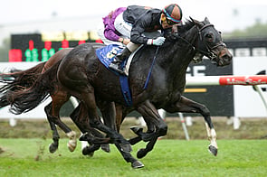 Our Abbadean - Lookin At Lucky x Highland Lights