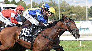 Joy Alone - Roc De Cambes x Optimum Note