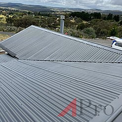 Roof Leak Repairs and Painting
