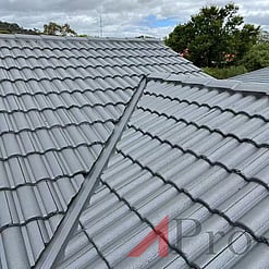 Roof Leak Repairs and Painting
