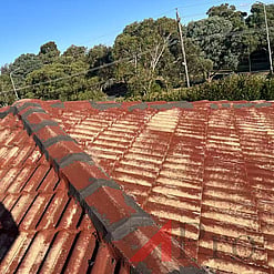 Roof Leak Repairs and Painting