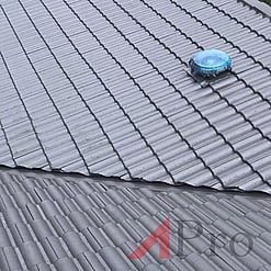 Roof Leak Repairs and Painting
