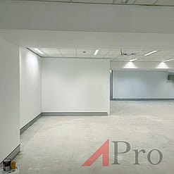 Commercial Painting
