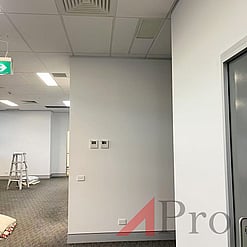Commercial Painting