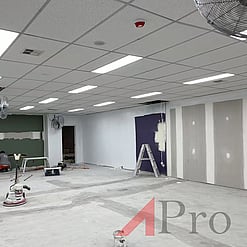 Commercial Painting