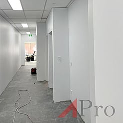 Commercial Painting