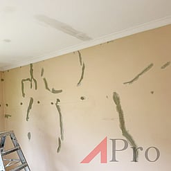 Render Repairs