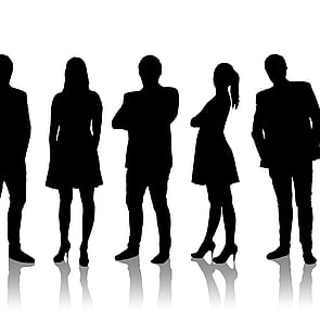 Interim TP Services