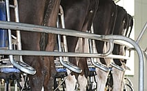 Milk Quality Management