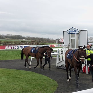 Sedgefield Racecourse