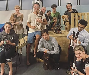 Puppy training class graduation photo